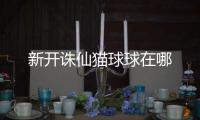 新开诛仙猫球球在哪
